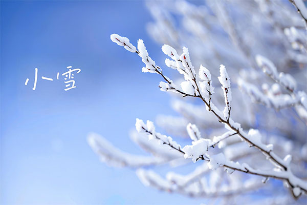 Сѩ����,�������,��ʳ����,�˶�����,��־����,����Ԥ��,cq9���ӹ������